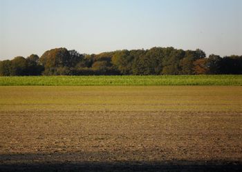 1-9-Ackerland-referenz Landwirtschaftliche Immobilien – das Ackerland
