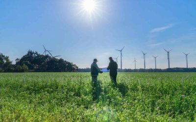 Landwirtschaftliche Immobilien bei Immobilien Brand