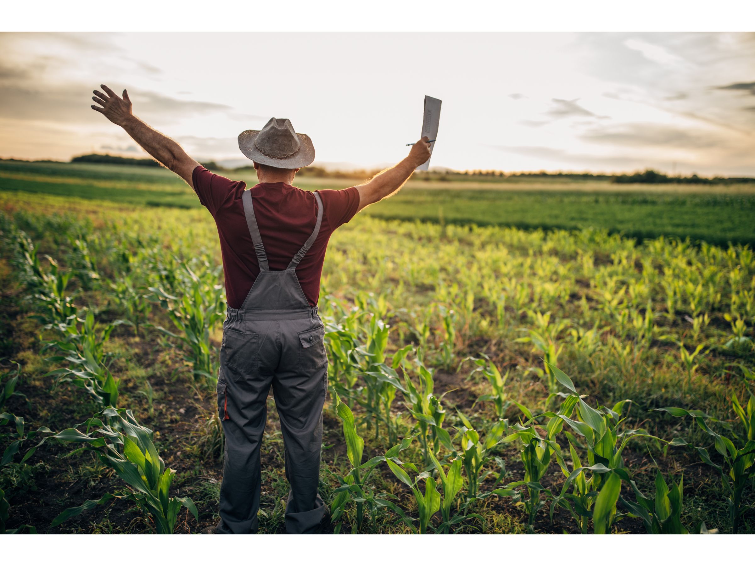 leistungen_landwirtschaft_erstes Bild